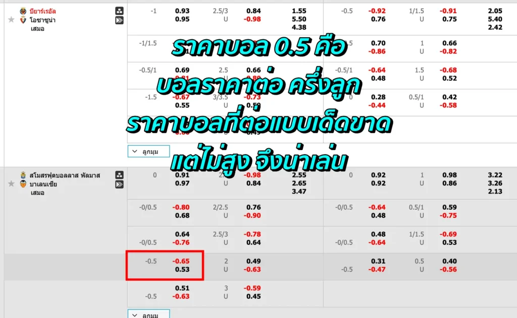 ราคาบอล 0.5 คือ